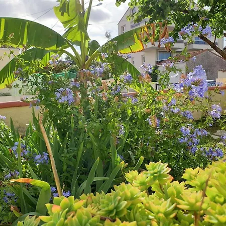 Вилла - Maison Rustique Avec Jardin Clos - Proche Commerces Et Plages *