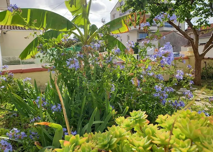 וילה - Maison Rustique Avec Jardin Clos - Proche Commerces Et Plages *